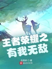 王者荣耀之王者无敌 王者荣耀之王者无敌