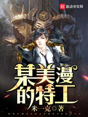 某美漫的特工 精校版 某美漫的特工 精校版