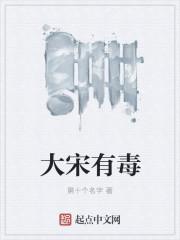 大宋真有种 大宋真有种