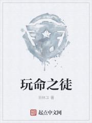 亡命之徒 桌游 亡命之徒 桌游