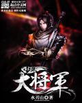 大宋之少年大将军 大宋之少年大将军