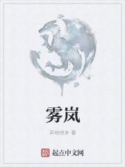 雾岚黄昏战部分奖励曝光