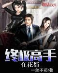 终极高手全文阅读 终极高手全文阅读