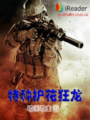 特种护花狂龙秦漠 特种护花狂龙秦漠