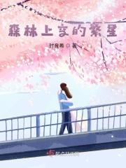 森林上空的繁星 森林上空的繁星