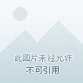 火影之忍界独行 火影之忍界独行