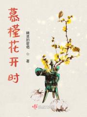慕槿花开时 慕槿花开时
