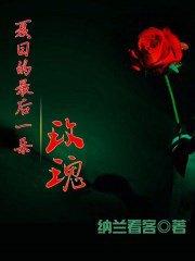 夏日的最后一朵玫瑰 夏日的最后一朵玫瑰