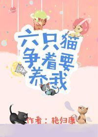 六只猫争着要养我 六只猫争着要养我
