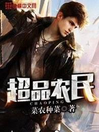 超品农民 超品农民