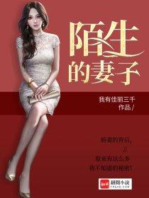 陌生的妻子 陌生的妻子