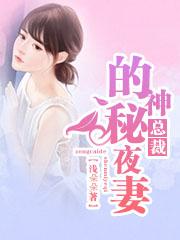 总裁的神秘夜妻 总裁的神秘夜妻