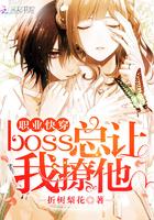 职业快穿:boss总让我撩他 职业快穿:boss总让我撩他