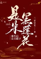 重生后公主殿下是朵黑莲花 重生后公主殿下是朵黑莲花