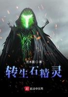 转生石精灵 转生石精灵