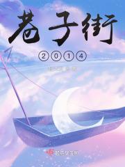 巷子街2014 巷子街2014